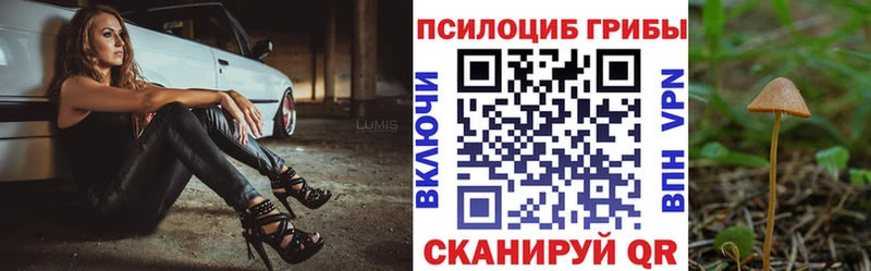 Галлюциногенные грибы MAGIC MUSHROOMS  Мезень 